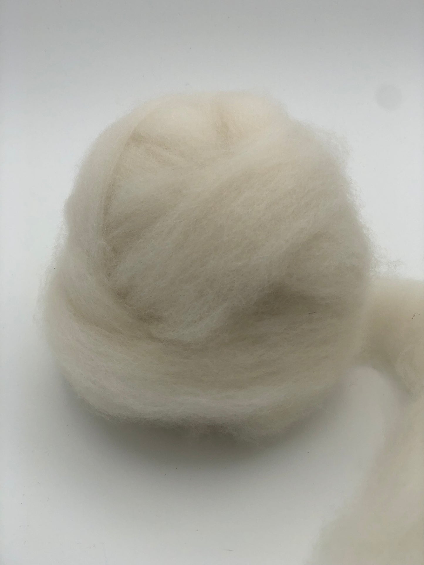 Alpaca: White Huacaya