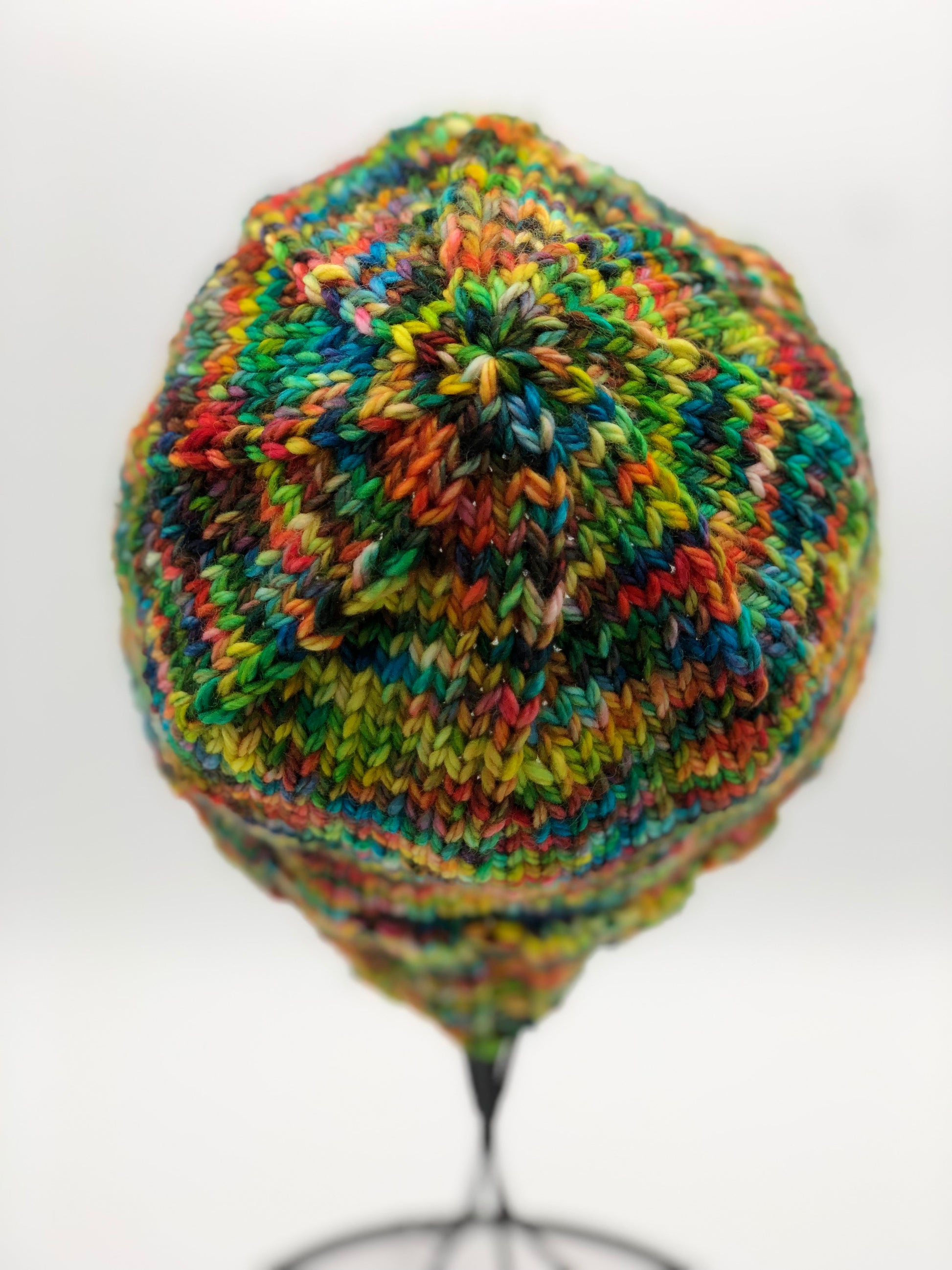 Macaw Beanie - Back View